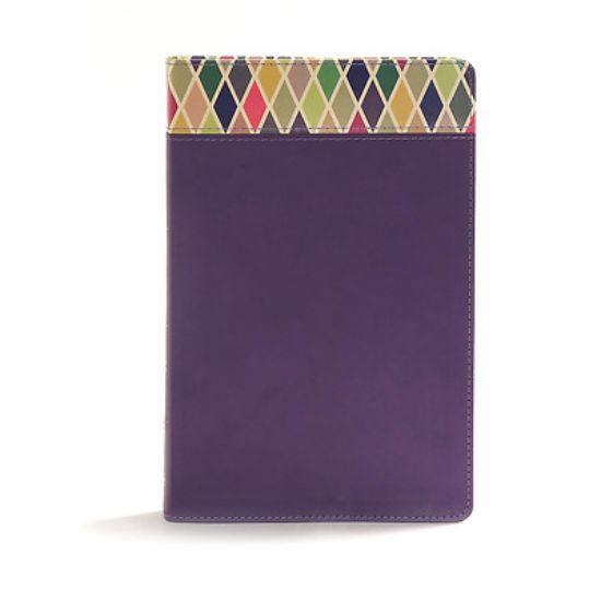 Picture of CSB Rainbow Study Bible, Purple Leathertouch