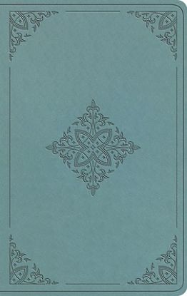 Picture of ESV Value Thinline Bible (Trutone, Paris Sky, Fleur-De-Lis Design)
