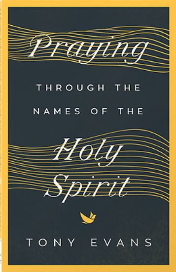 Picture of Praying Through the Names of the Holy Spirit