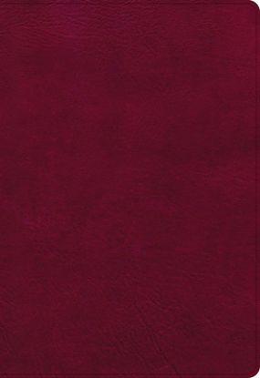Picture of NASB Super Giant Print Reference Bible, Burgundy Leathertouch, Indexed