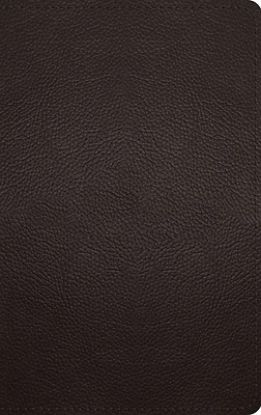Picture of ESV Thinline Bible, Red Letter (Buffalo Leather, Deep Brown)