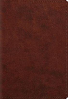 Picture of ESV Student Study Bible (Trutone, Chestnut)