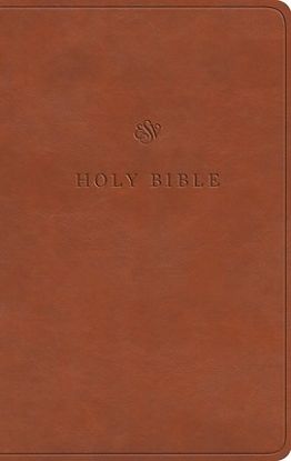 Picture of ESV Value Thinline Bible (Trutone, English Saddle)