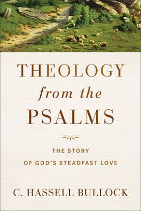 Picture of Theology from the Psalms