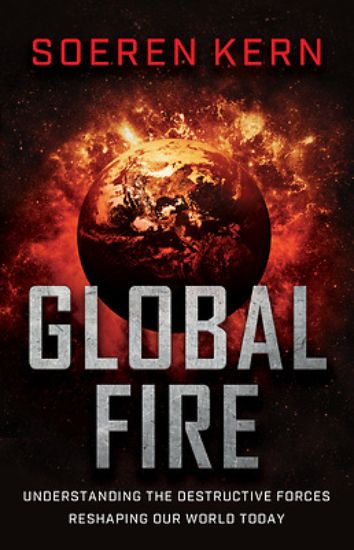 Picture of Global Fire