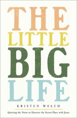 Picture of The Little Big Life