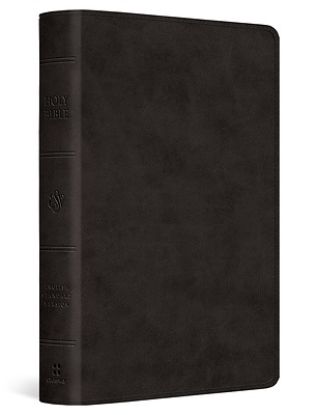 Picture of ESV Large Print Bible (Trutone, Black)