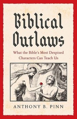 Picture of Biblical Outlaws