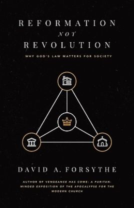 Picture of Reformation, Not Revolution