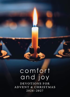 Picture of Comfort and Joy