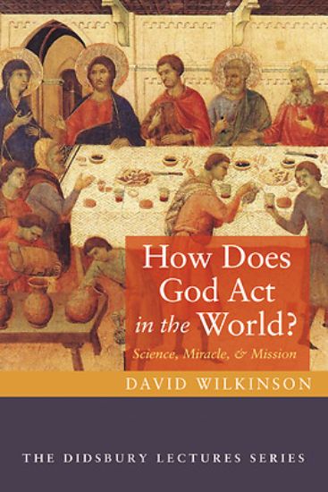 Picture of How Does God Act in the World?