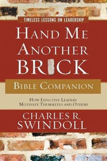Picture of Hand Me Another Brick Bible Companion: