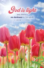 Word Alive! Weekly Bulletin without Message-Week 14, Legal Size (Package of 25)