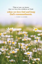 Word Alive! Weekly Bulletin with Message-Week 18, Letter Size (Package of 25)