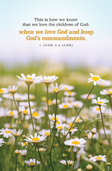Picture of Word Alive! Weekly Bulletin with Message-Week 18, Letter Size (Package of 25)