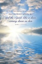 Word Alive! Weekly Bulletin with Message-Week 2, Letter Size (Package of 25)