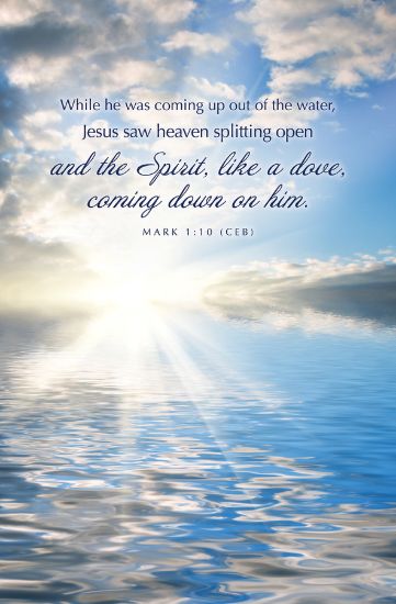 Picture of Word Alive! Weekly Bulletin with Message-Week 2, Letter Size (Package of 25)