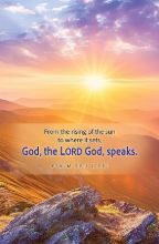 Word Alive! Weekly Bulletin without Message-Week 6, Legal Size (Package of 25)