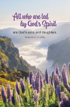 Word Alive! Weekly Bulletin with Message-Week 21, Letter Size (Package of 25)