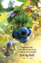 Word Alive! Weekly Bulletin with Message-Week 17, Letter Size (Package of 25)