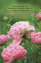 EXTRA Word Alive! Weekly Bulletin w/Message-Mother's Day, Letter Size (Package of 25)