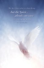 Word Alive! Weekly Bulletin with Message-Week 20, Letter Size (Package of 25)