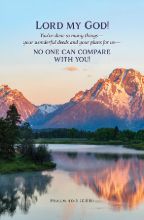 Word Alive! Weekly Bulletin with Message-Week 15, Letter Size (Package of 25)