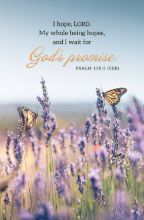 Word Alive! Weekly Bulletin with Message-Week 26, Letter Size (Package of 25)
