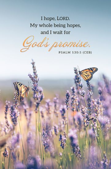 Picture of Word Alive! Weekly Bulletin without Message-Week 26, Letter Size (Package of 25)