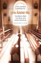 Word Alive! Weekly Bulletin without Message-Week 3, Legal Size (Package of 25)