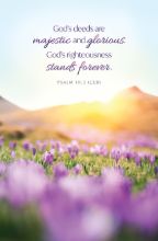 Word Alive! Weekly Bulletin with Message-Week 5, Letter Size (Package of 25)