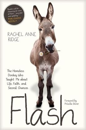 Picture of Flash