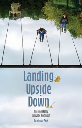 Picture of Landing Upside Down