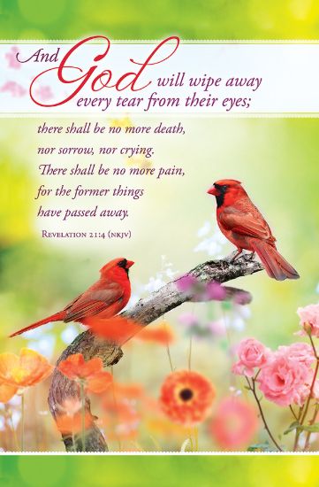 Picture of Wipe Away Every Tear Funeral Regular Size Bulletin