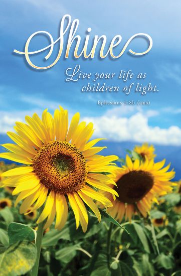 Picture of Shine Summer Regular Size Bulletin