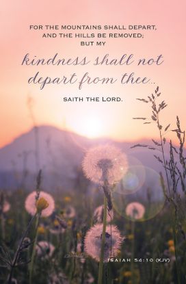 Picture of Kindness Shall Not Depart Bulletin