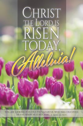 Picture of Easter Christ the Lord Is Risen Today Bulletin