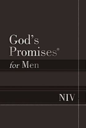 Picture of God's Promises for Men NIV