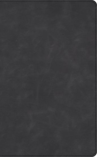 Picture of CSB Thinline Bible, Optimal Type, Holman Handcrafted Collection, Marbled Slate Premium Calfskin