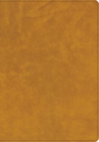 Picture of CSB Lumen Dei Bible, Lux Vitae