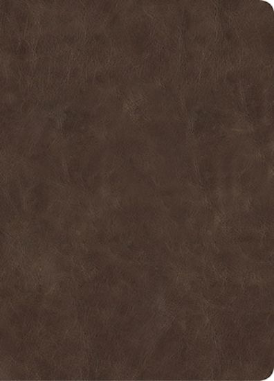 Picture of CSB Lumen Dei Bible, Lux Verbi