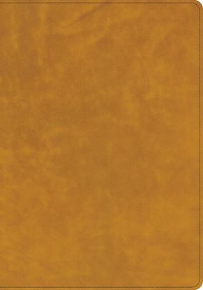 Picture of CSB Lumen Dei Bible, Lux Verbi