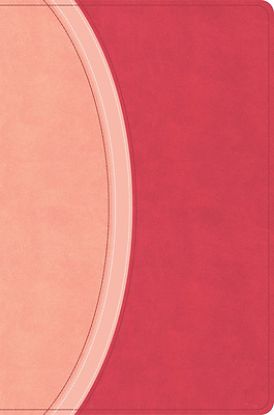 Picture of CSB Rainbow Study Bible, Pink Leathertouch, Indexed