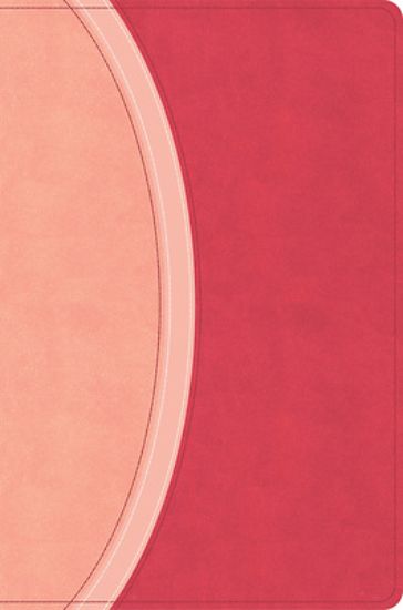 Picture of CSB Rainbow Study Bible, Pink Leathertouch, Indexed