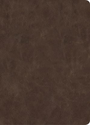 Picture of CSB Lumen Dei Bible, Lux Gloriae