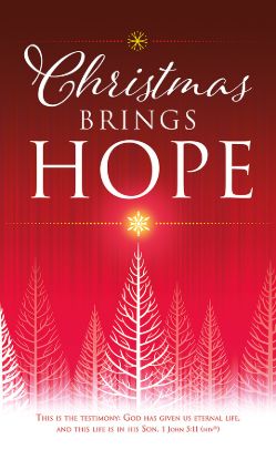 Picture of Christmas Brings Hope 3' x 5' Fabric Banner 1 John 5:11 NIV