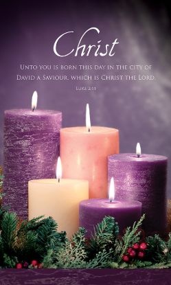 Picture of Advent Week 5 3' x 5' Vinyl Banner Luke 2:11