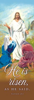 Picture of He Is Risen Banner 2 x 6 Fabric