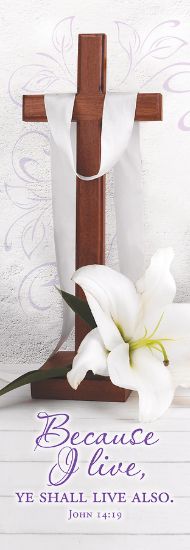 Picture of Because I Live Banner 2 x 6 Fabric