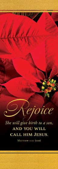 Picture of Banner Rejoice Christmas 2 x 6 Vinyl